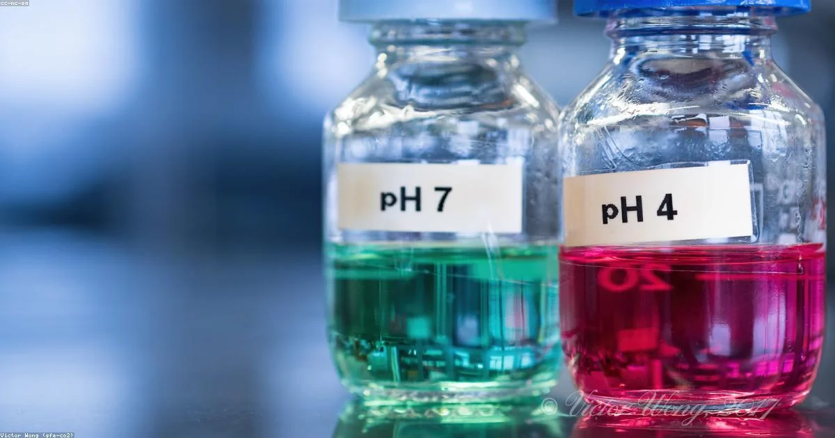Buying Peptides in Bulk: What Research Labs Need to Know Before Scaling Up